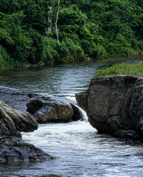 Dog’s Head Falls (Johnson)