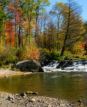 Beard Recreation Park (Johnson)