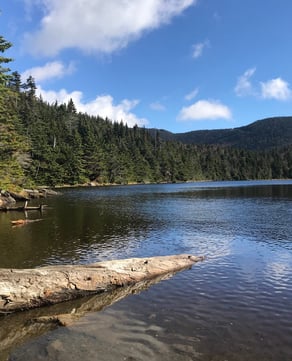 Sterling Pond Trail (Difficult)