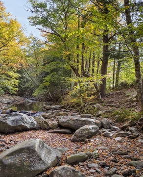 Private Access to the Brewster River