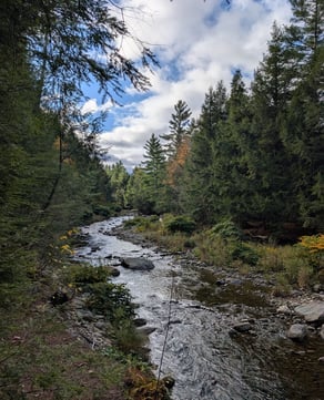 Brewster River Gorge Trail (Easy)