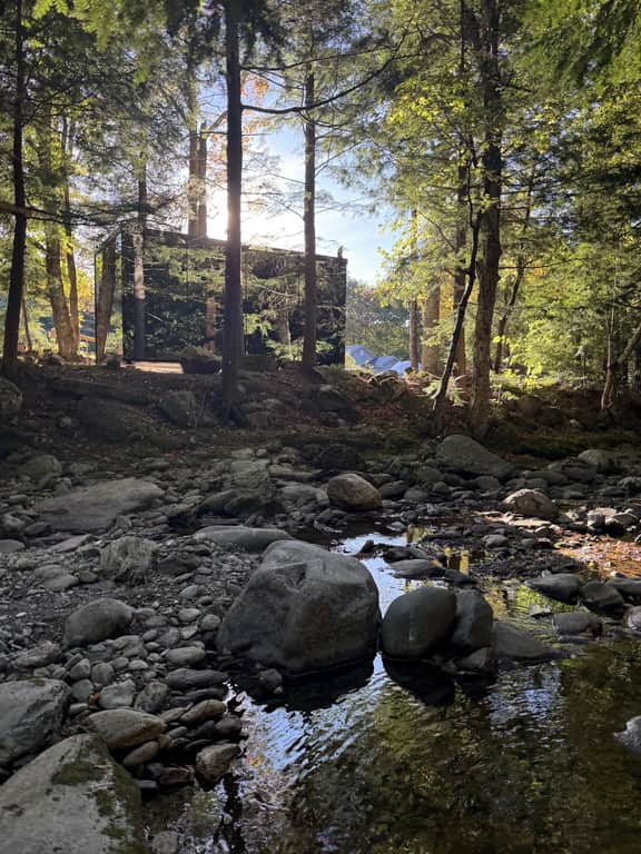 Wildflower | Mirror Cabin + Spa at Smuggs - Image 2